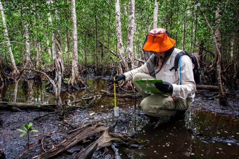 Image: taking sediment core samples