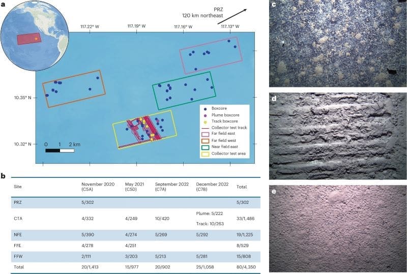 Sea-floor animals decrease nearly 40% in deep-sea mining zone: study Image: Overview of study region, sampling design and example seafloor morphology (s. deep-sea mining, biodiversity loss)