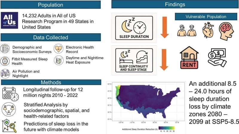 Image: Graphical abstract