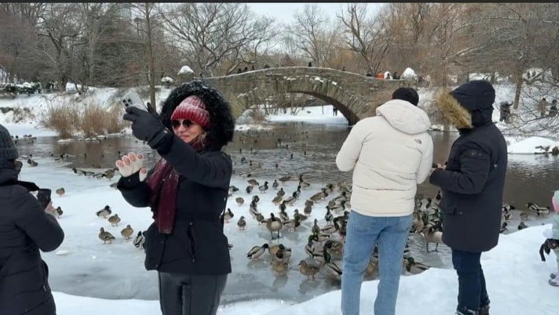 US monster storm kills 30 Image: People sled on the slopes of Central Park and take pictures of the snow in New York (s. monster storm)