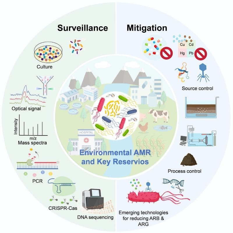 Image: Graphical abstract