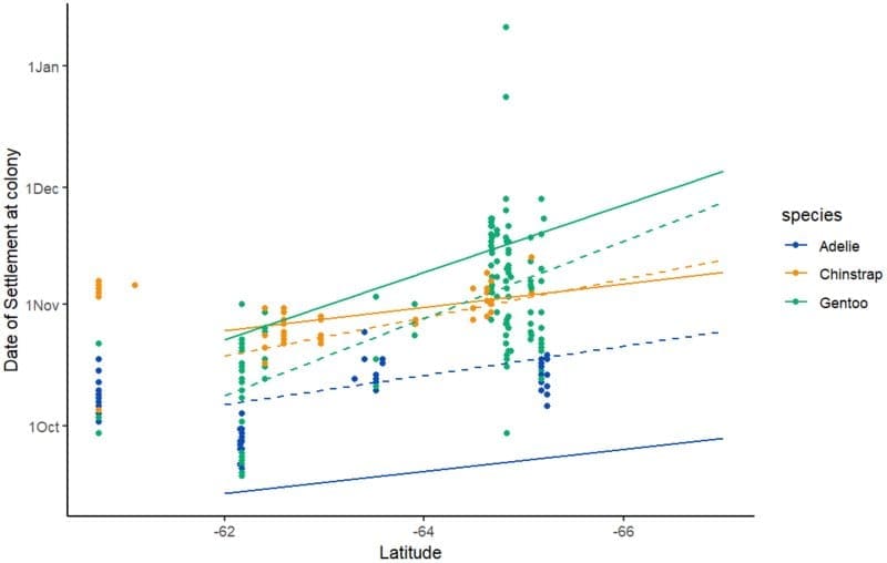 Image: Graphic - Settlement at colony (s. antarctic penguins) 