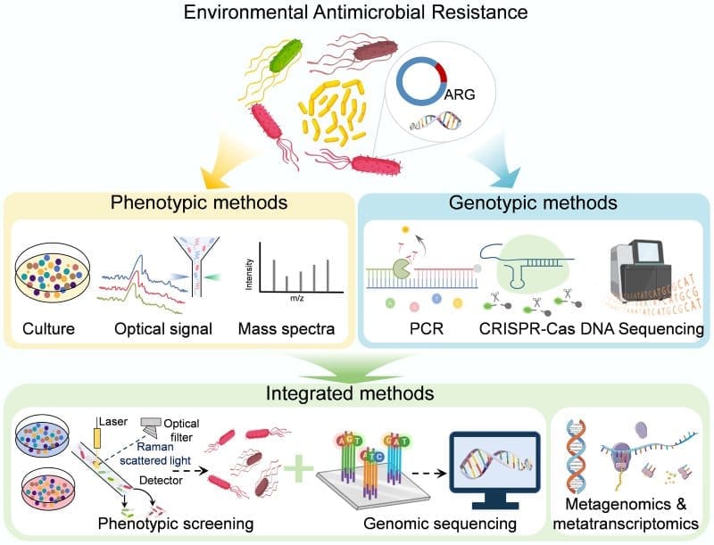Image: Graphical abstract