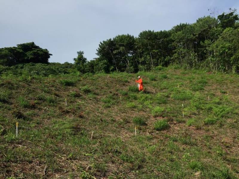 Image: team member spreads fertilizer on a recently abandoned pasture plot