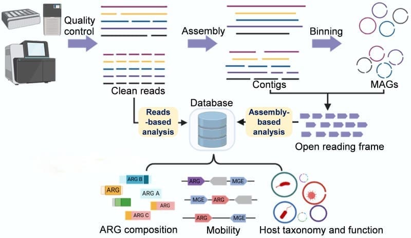 Image: Graphical abstract