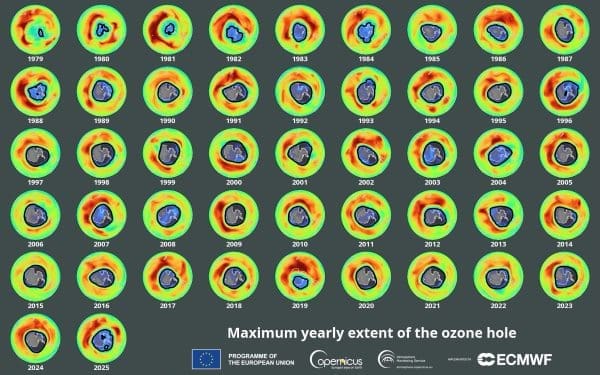 Image: Mazimum yearly extent of the ozone hole (1979-2025), Antarctica