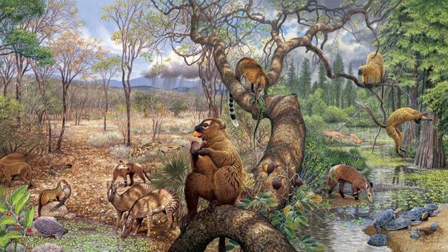 Image: detail from The Trek Through Time (s. Ancient global warming and rainfall patterns)