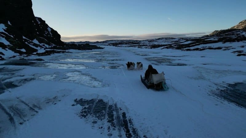 Warming climate threatens Greenland's ancestral way of life Image: greenland landscape with dogs