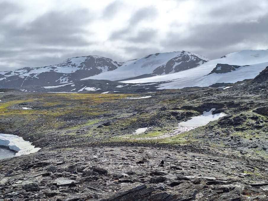 Image: Remains of the McCloud Glacier (2024), photographed by Prof Pete Convey