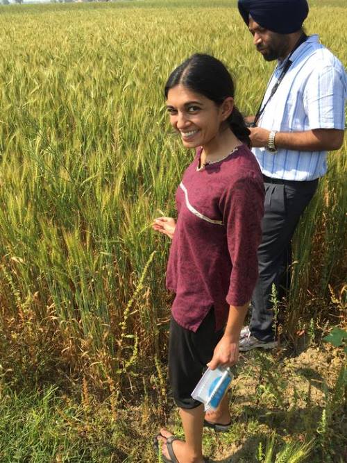 ASU–Science prize honors research helping farmers adapt to climate change Image: Meha Jain, associate professor at the University of Michigan’s School for Environment and Sustainability