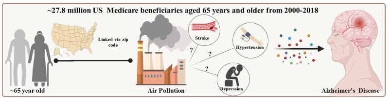Air pollution linked to higher Alzheimer’s risk Image: Visual summary of the main findings of the study (s. Alzheimer, air pollution)