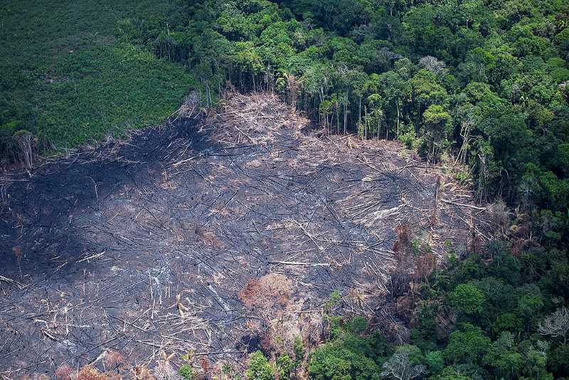 Image: Amazon deforestation 