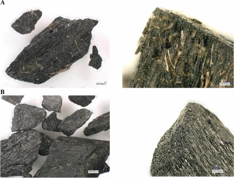 Image: Fig. 1 From: Recovery and composition of biochar after feeding to cattle