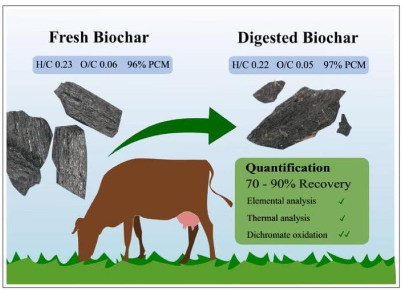 Image: Graphic - Recovery and composition of biochar after feeding to cattle