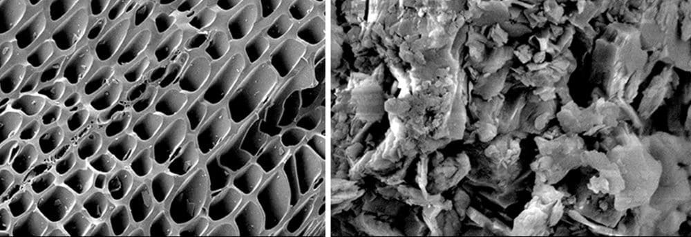 Image: Scanning electron microscopy (SEM) images of spruce tree-derived carboxy biochar (b) SB, (c) organically intercalated montmorillonite (MT)