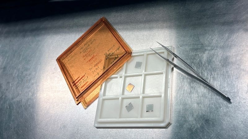 Image: Humidity-resistant hydrogen sensor 