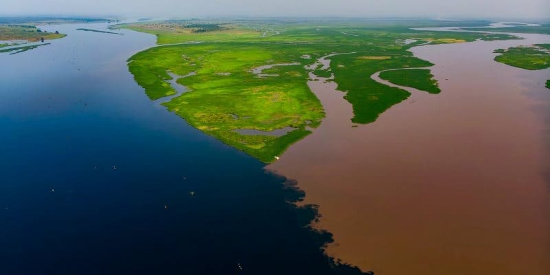 Climate Science Digest: February 25, 2026 Image: dark water from forest landscapes meets water from the savannahs, colored red by iron oxides