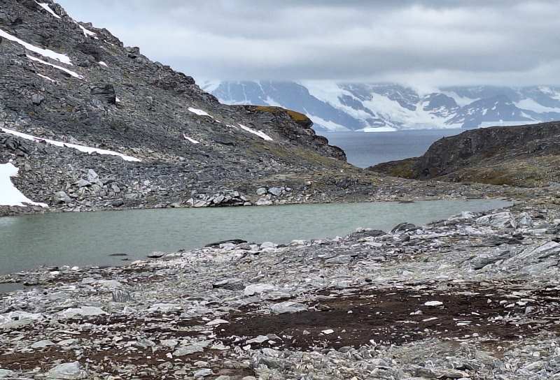 Antarctic Peninsula warming scenarios show stark sea level risks by 2100 and 2300 Image: Recently re-exposed mosses, photographed in 2024 by Prof Peter Convey (s. Antarctic Peninsula warming scenarios)