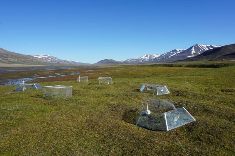 Climate Science Digest: February 19, 2026 Image: One of the three experimental sites in Adventdalen