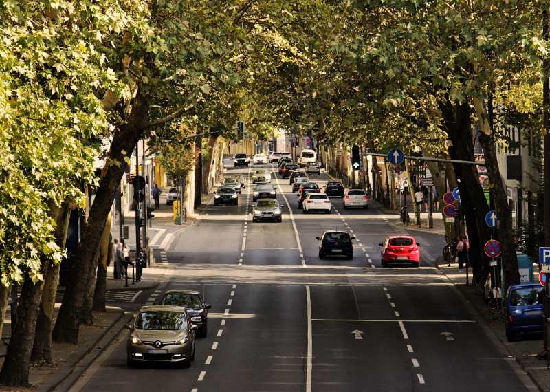 Image: Trees, Traffic, Urban 