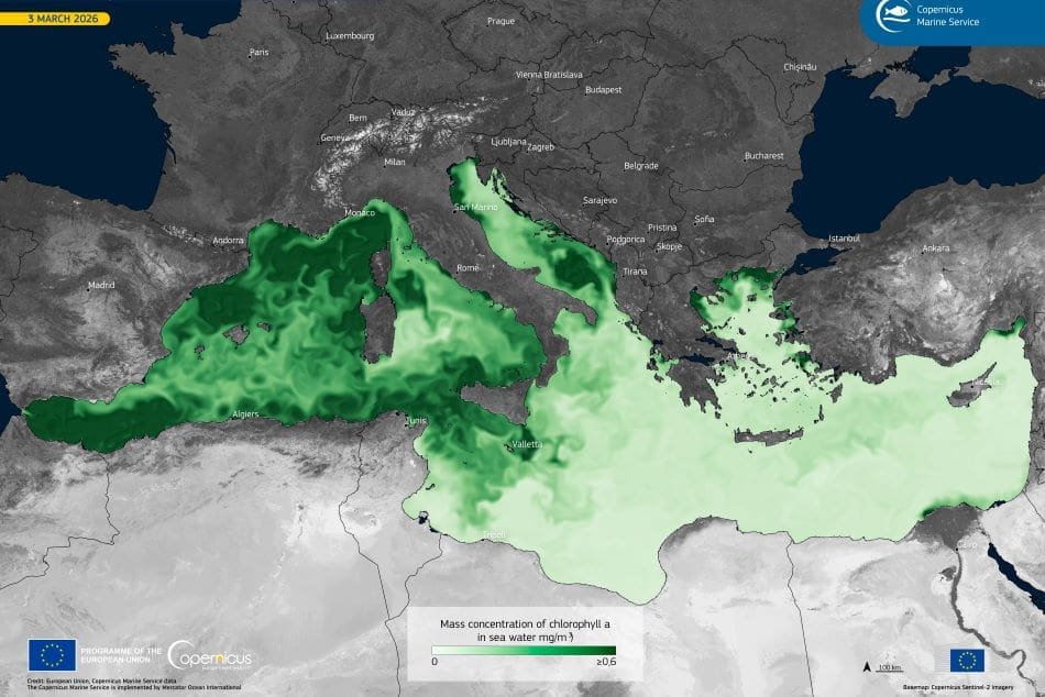 Satellite Image: Mediterranean Sea, Chlorophyll -variable monitored by CMS