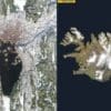 Image of the day: Snow-covered Oslo and Iceland’s volcanic landscape Satellite Image: Oslo, Norway (left) and Iceland
