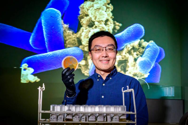 Image: Professor Wei Qin (s. deep-ocean microbe - Nitrosopumilus maritimus)