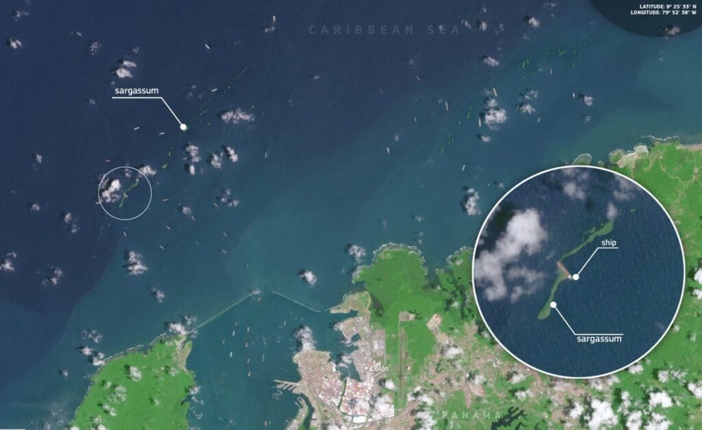 Satellite Image: Colón and Limón Bay, Panama (24 March 2026) (s. Sargassum)