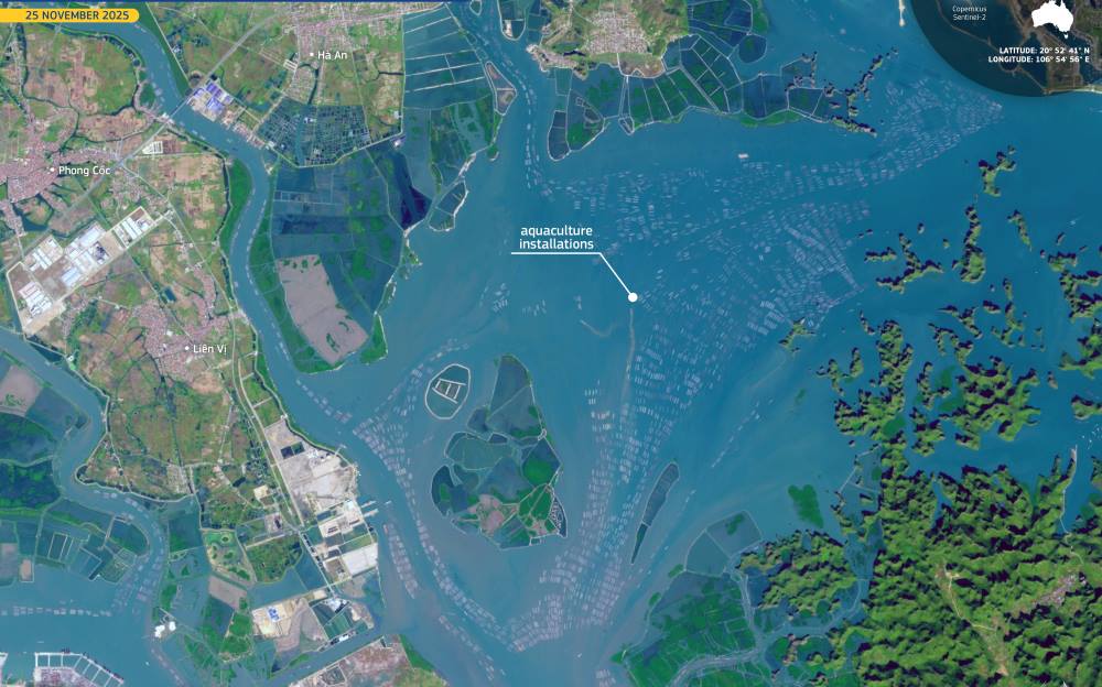 Satellite Image: Phong Cốc, Hạ Long Bay, Quảng Ninh Province, Vietnam