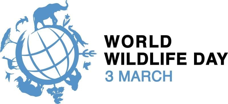 Image of the day: The Greater Virunga Landscape on World Wildlife Day Image: WWD 2026 logo
