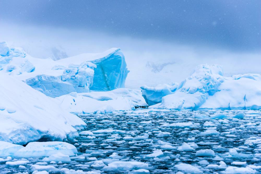 Image: Cuverville Island, Antarctica