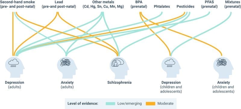 Image: Links between chemical pollution and mental health issues
