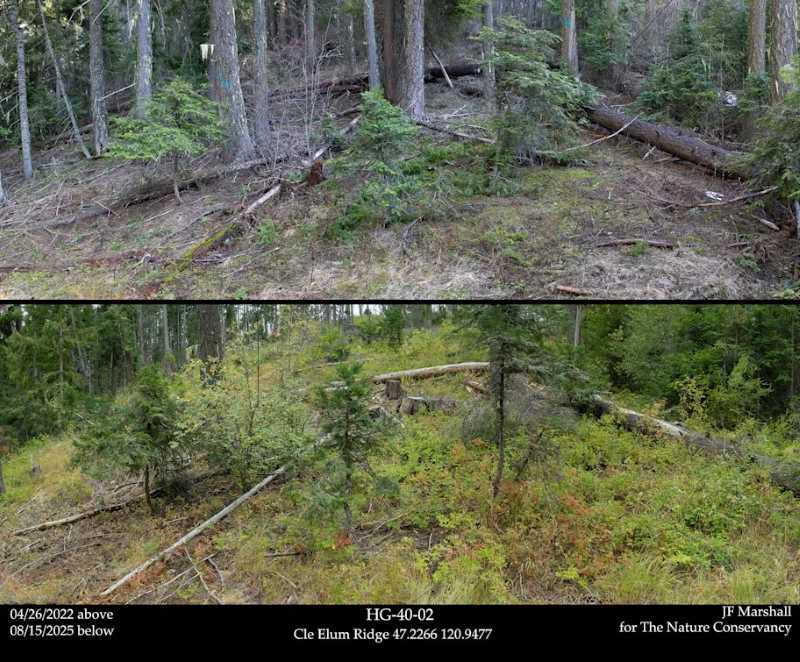 Climate Science Digest: March 3, 2026 Image: Area of moderate thinning