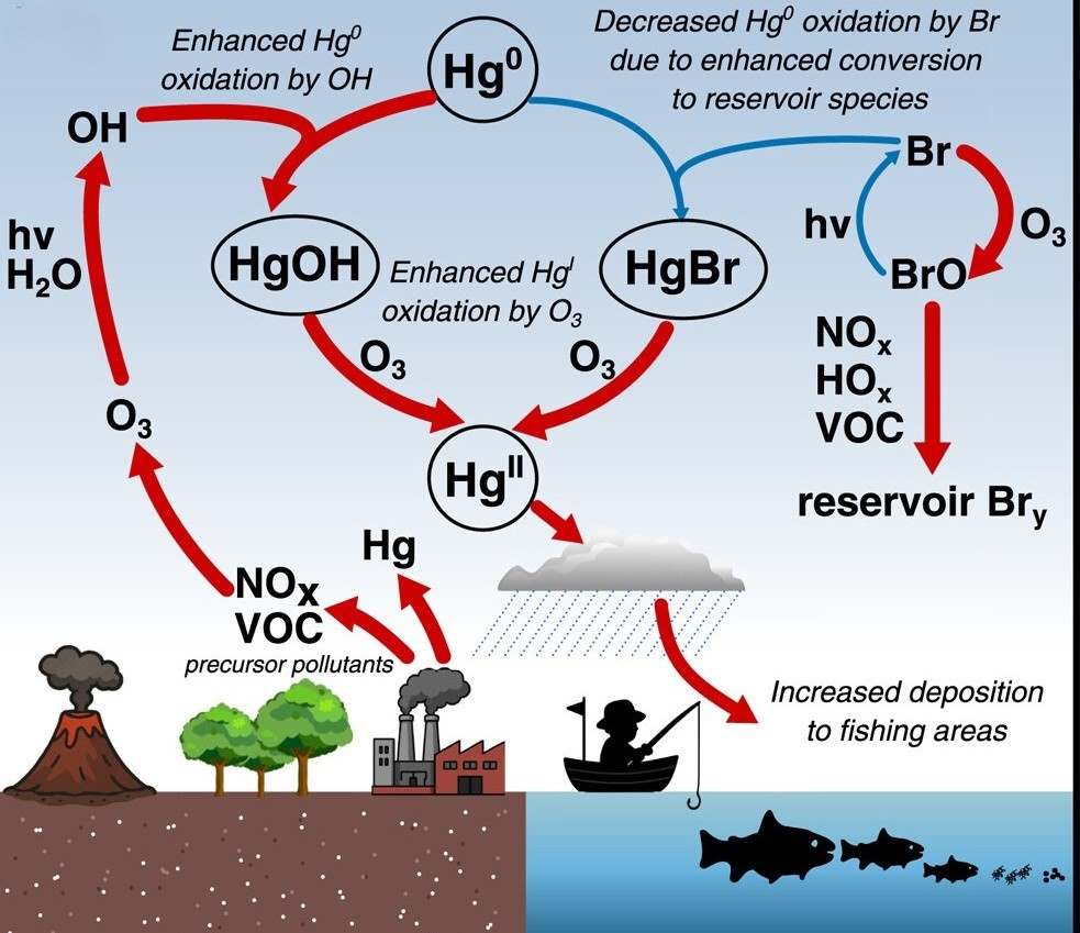 Image: Present day Hg redox chemistry - Conceptual representation