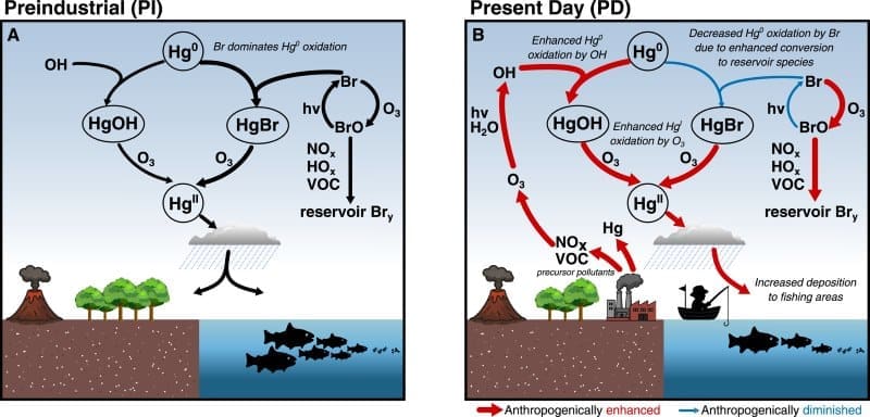 Image: Conceptual representation of the changes in Hg redox chemistry between preindustrial (PI) (a) and present day (PD) (b) - Fig 2 - 'Shifts in atmospheric composition since the preindustrial era modified the transport and deposition of mercury' (s. tropical oceans)