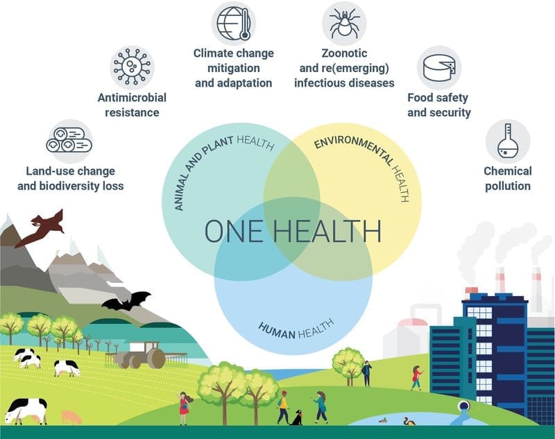 Image: Infographic - One Health concept