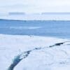 Image: Antarctic sea ice