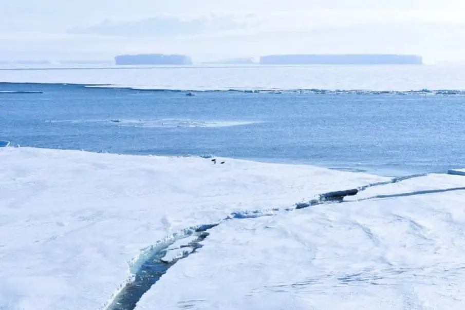 Image: Antarctic sea ice
