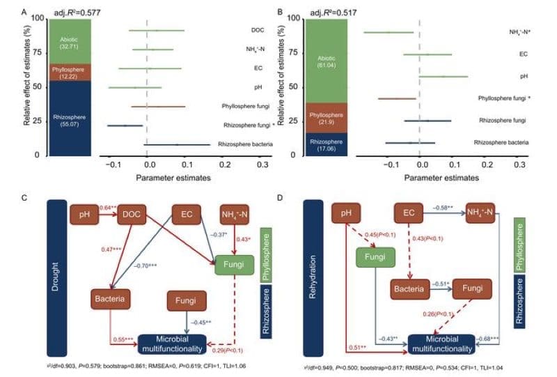 Image: Graphic - Shifting from biotic to abiotic drivers of urban microbial multifunctionality under drought and rehydration
