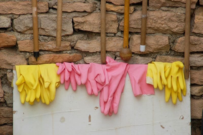 Climate Science Digest: March 3, 2026 Image: Pink and Yellow Rubber Gloves