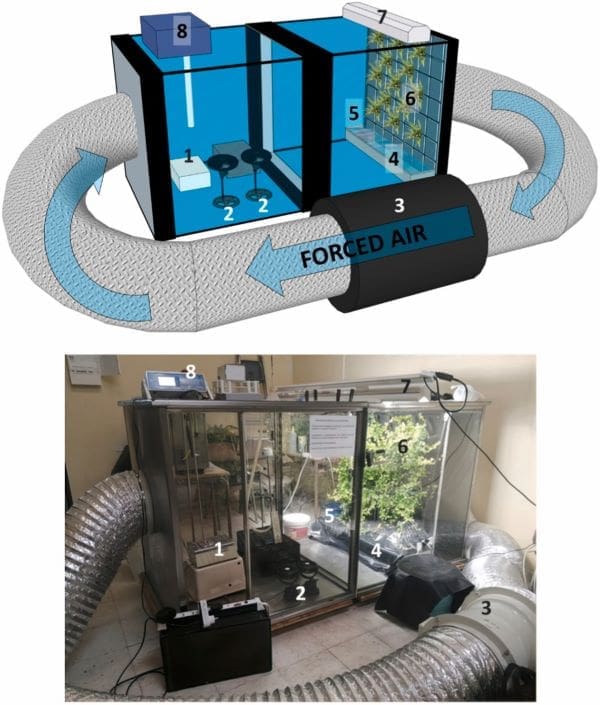 Image: Scheme of the closed glass chamber with the air recirculation system