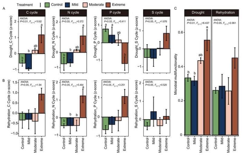 Image: Shifting from biotic to abiotic drivers of urban microbial multifunctionality under drought and rehydration