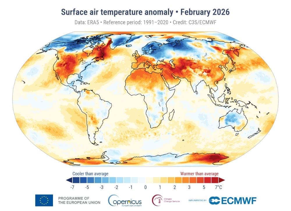 Image: Surface air temperature anomaly for February 2026