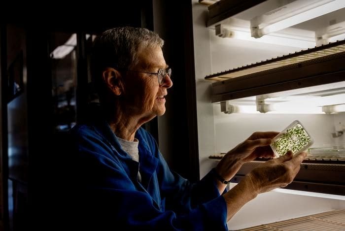 Image: Researcher and her lab plants 