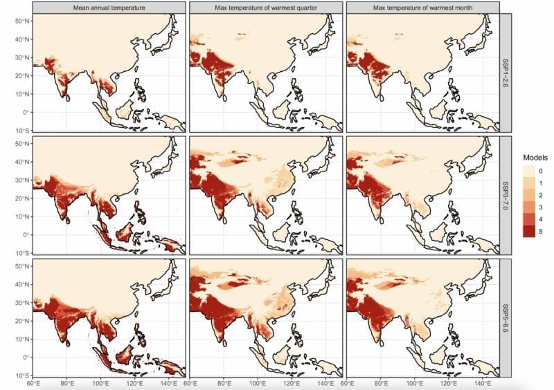 Rice cultivation nears heat limits as warming threatens future yields Image: Graphic - Regional temperatures are expected to rise beyond the current threshold of rice over the next few decades