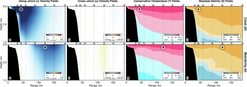 Ocean eddies reshape coastal seas as warming accelerates at the surface Image: Extended Data Fig. 2: The Agulhas Current has two distinct states: a stable linear flow (~ 90% of the time) and a meandering state that triggers reorganization of its structure. - 'More eddying of subtropical western boundary currents boosts stratification and cools shelf seas' (s. ocean eddies))
