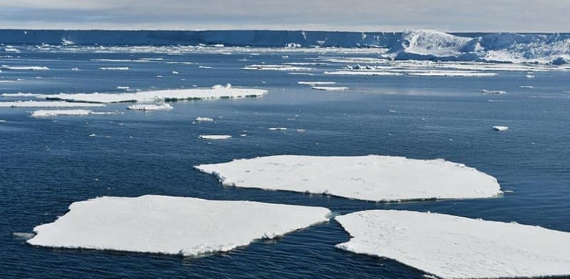 Image: Bellinghausen Sea, Antarctica (2025)