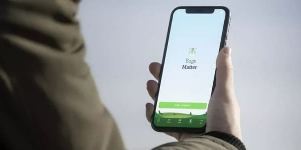 Image: Bugs Matter app
