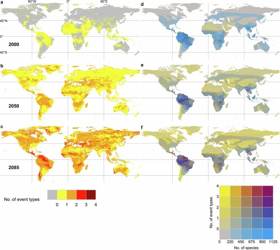 Image: Extended Data Fig. 1 - 'Land vertebrates increasingly exposed to multiple extreme events by 2085' (s. animal habitats)