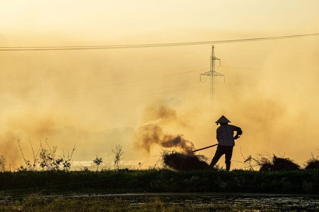 Image: a farmer working a field (s. )